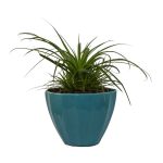 گیاه مدل برگدار مدل ۱