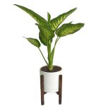 گیاه مدل برگدار مدل ۳