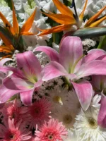 تاج گل نغمه - Image 2
