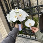 سپید - Image 3
