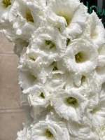 تاج گل تبریکی ستایش - Image 4