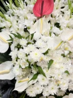 تاج گل تمنا - Image 2