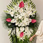 تاج گل تمنا - Image 3
