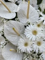 تاج گل وداع - Image 4