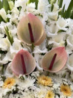 تاج گل یادگار - Image 2
